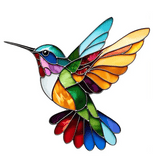 Daudzkrāsaina kolibri kaklarota