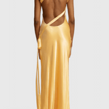 Lucra™ Maxi Dress